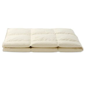 yzC^ (IWATA)Y _EPbg (|) DE-KS87-2225TCYΉFSL/SDL/DL/QL/KLENCi_bN_E85x[W(֑Oz) EEkC͂ς