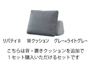 yEK̔㗝Xz[u LIBERTY2 (oeB2)wNbV1Zbg2FΉ(CgO[/_[NO[)\t@{͕̂ʔł(֑Oz)kCEE͏