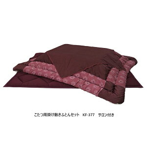 ATq̉Ƌ n@|~ӂƂZbg@KF-377@Tt2TCYΉi֑OzjkCEE͏