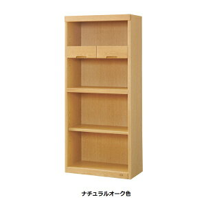 yJݒuzYi l{H|I[v^CvNo.8600 IB(W60)fށFiޓhFF3FΉ(NA/DA/CA)󒍐YJݒukCEE͌ς