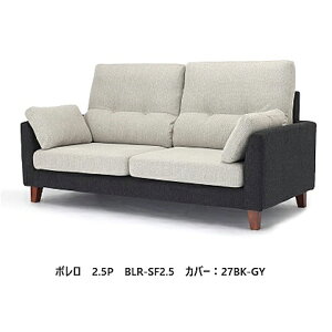 NDstyle 2.5P \t@ { BLR-SF2.5zEJo[O5FEc[g[2FΉEHbVun/etHr΃[^CvɂȂ܂(֑O܂) kCEE