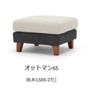 NDstyle Xc[ { BLR-LS65zEJo[O5FEc[g[2FΉEHbVun/etHr΃[^CvɂȂ܂(֑O܂) kCEE