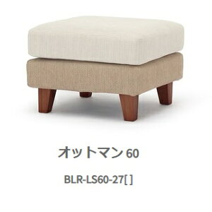 NDstyle Xc[ { BLR-LS60zEJo[O5FEc[g[2FΉEHbVun/etHr΃[^CvɂȂ܂(֑O܂) kCEE