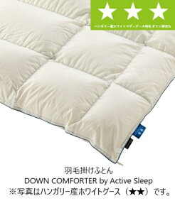 [] p}EgxbhHъ|ӂƂ/HѕzcDOWN COMFORTER by Active SleepnK[YzCg}U[O[XHу_E953TCYΉ(Z~VO/VO/_u)(