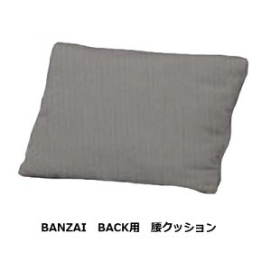 nƋ COR NM CVBANZAI BACK (oUCobN)p NbVnF59FΉ󒍐YF[45i֑OzjkCEE͏