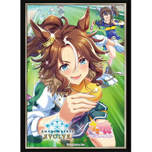 Shadowverse EVOLVE X[u Vol.39 Shadowverse EVOLVE wWp[}[xi75j