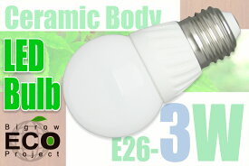 送料無料!eco Project 高性能/高輝度 LED電球(E26) 3W 球形状 エコ 1円で12時間点灯