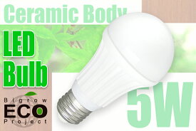BIGROW eco Project 高性能高輝度 LED電球（E26) 5W 球形状　セラミックボディーで放熱性向上　エコ 1円で7時間点灯　送料無料