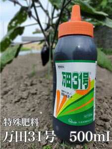 yz cyf c31 500ml _ | 엿 엿E͍ t t̔엿 A ʎ ϗtA yf   ƒ؉  ͍ h{ L@엿 y  K[fjO ~  