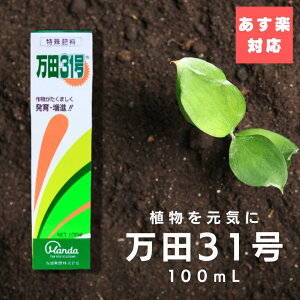 yz cyf c31 100ml _ | 엿 엿E͍ t t̔엿 A ʎ ϗtA yf   ƒ؉  ͍ h{ L@엿 y  K[fjO ~  