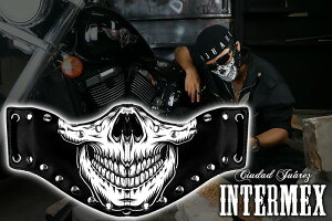 `OX֑ JX}XN tFCX}XN INTERMEX ITM-035 XJ vg   X^bY 􂦂 Y IIn NU L[ MO oCJ[ tFCNU[