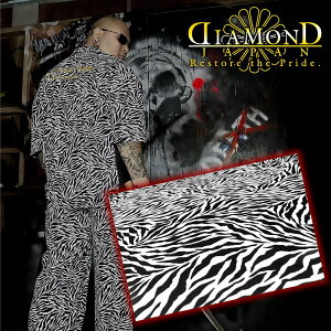 hJ [u  ZbgAbv W[W × NU L[ II  IIn ㉺  DJ-142 h ĕ Y t@bV