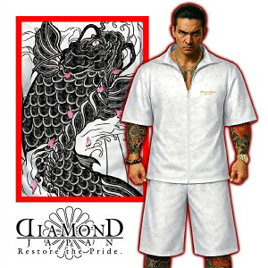 �a�� ���� ���� ���� �Z�b�g�A�b�v �W���[�W ����+���Y�{�� DIAMOND JAPAN �_�C�������h�W���p�� dj-230 ���p�� ������ ���N�U �����L�[ �I���I���n �㉺ �� �ĕ� �����Y �t�@�b�V����