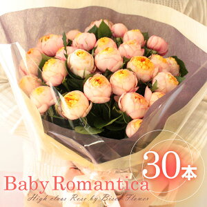 yS̃N[֏oׁzo ԑ 30{ iw yxr[}`Jz ԑ RƂԎp炵    u[P ԑ  t[  lC } ސE JXj 