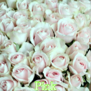 o ԑ 70{ yS̃N[֏o/kCEzz ỏԑ Ê Êj j  j j  u[P KN v[g Mtg 70   vw LO j v