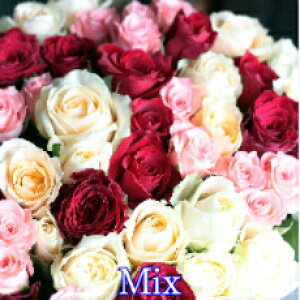 バラ 花束 70本 【安心のクール便出荷/北海道・沖縄も配送無料】 バラの花束 古希 古希祝い お祝い 女性 男性 男 花 ブーケ 薔薇 プレゼント ギフト 70歳 母 父 夫婦 結婚記念日 結婚祝い プロ