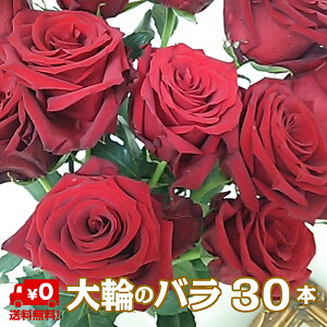 yN[֏oׁz o 30{ ԑ v|[Y  A LO a [Y \ җj   u[P  t[  lC } ސE JXj j Mtg v[