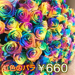 壁紙無料の材料 レインボー ローズ 値段 壁紙無料の材料 レインボー ローズ 値段