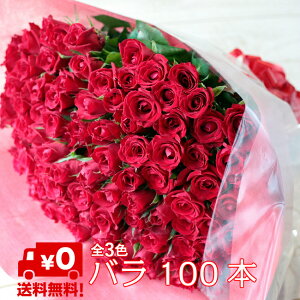 生花 バラ100本 生花の人気商品 通販 価格比較 価格 Com