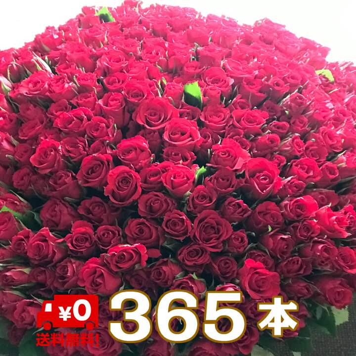 楽天市場 バラ 花束 365本 花 お花 フラワー 生花 薔薇 赤い薔薇 ブーケ ギフト プレゼント 誕生日 お誕生日 お祝い 記念日 発表会 ピアノ発表会 見舞い ラッピング ウェディング 結婚式 プロポーズ 卒業 切り花 宅配 退職祝い 周年 還暦 大きい アレンジメント 敬老の日 楽天市場 バラ 花束 365本 花 お花 フラワー 生花 薔薇 赤い薔薇 ブーケ ギフト プレゼント 誕生日 お誕生日 お祝い 記念日 発表会 ピアノ発表会 見舞い ラッピング ウェディング 結婚式 プロポーズ 卒業 切り花 宅配 退職祝い 周年 還暦 大きい アレンジメント 敬老の日