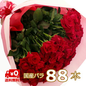 yS̃N[֏o/kC/zz o ԑ 88{  Y Ď LO a KN [Y \   u[P  t[  lC JXj j Mtg v