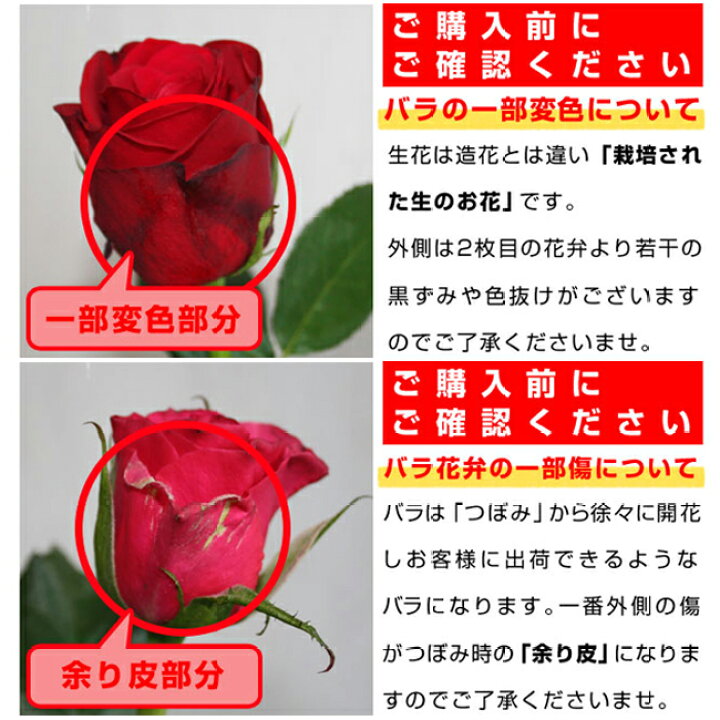 楽天市場 バラ 50本 花束 全色同価格 還暦祝い 60本 変更可能 誕生日 結婚式 送別 花 ブーケ お花 フラワー おすすめ 人気 歓送迎 退職 開店祝い 結婚祝い ギフト プレゼント お返し Bises Flower