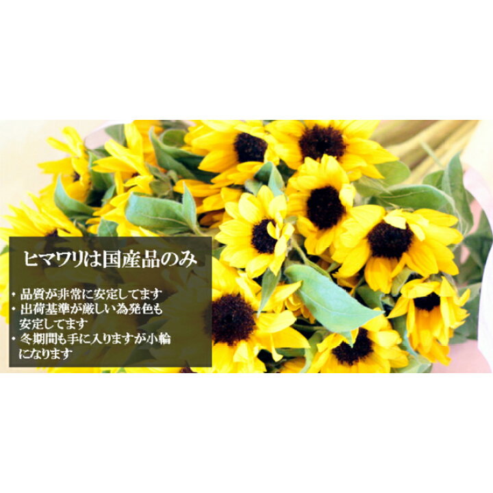 楽天市場 クール便発送 ひまわり 花束 100本 誕生日 ヒマワリ 向日葵 ひまわりの花束 ブーケ お花 花 フラワー 女性 結婚記念日 記念日 歓迎 送迎 向日葵 プロポーズ サプライズ 送料無料 クリスマス Xmas ギフト プレゼント お返し ホワイトデー Bises Flower