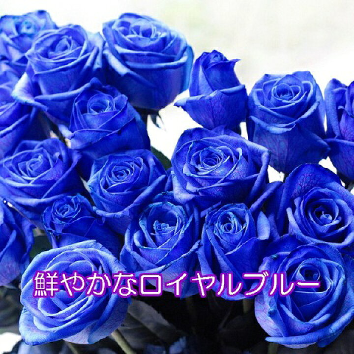 楽天市場 ブルーローズ 本 花束 オランダ産の 青いバラ 送別 卒業 青バラ 花 バラ ブーケ お花 フラワー おすすめ 人気 歓送迎 退職 開店祝い 結婚祝い ギフト プレゼント お返し Bises Flower