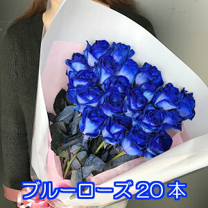 yS̃N[֏o/kC/zz u[[Y 20{ o^C o ԑ I_Y o   o  o u[P  t[  lC } ސE 