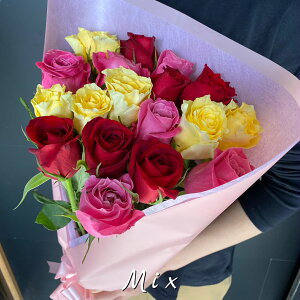 yS̃N[֏oׁz Y o 20{ ԑ Iׂ 5F a  TvCY LO KN  u[P  t[  lC } j Mtg v[g o^C