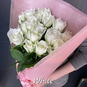 yS̃N[֏oׁz Y o 20{ ԑ Iׂ 5F a  TvCY LO KN  u[P  t[  lC } j Mtg v[g o^C