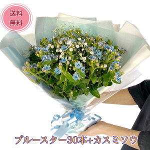 y lC̃u[X^[ 30{ JX~\E u[P zN[֍݁yԌtFMSEKȈz ̓ v|[Y o ԑ  v[g ݑ ԑ zCgf[ o