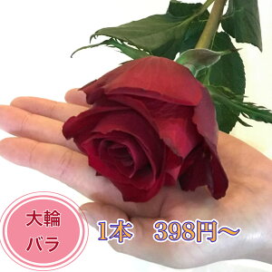 yS̃N[֏oׁz փo 1{ ~ 1{398~ LO Mtg a \ җj  v|[Y  o u[P ԑ  t[ Ԃ  lC v[g } ސE J