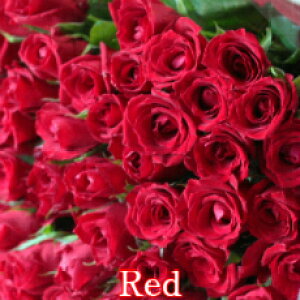 o ԑ 70{ yS̃N[֏o/kCEzz ỏԑ Ê Êj j  j j  u[P KN v[g Mtg 70   vw LO j v