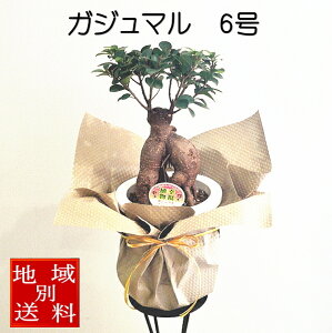 ϗtA@KW}@6@K^Ăэސ삪Zޖ؁@JXj@Vzj@a@yhV̓ɂ߁@ɂ߂łIzv[g Mtg