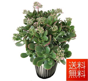 ϗtA Ԍ@̂Ȃ 5@JXj@Vzj@Ԍt́yꝺzyK^zԊ̓vX`bNł@e킨j