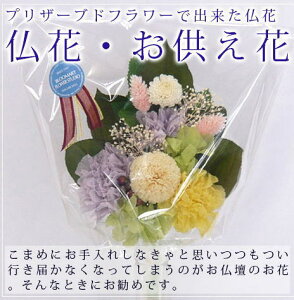 vU[uht[@/ ԁE/||eip[vj yIzy䋟zyvU[uhEt[z