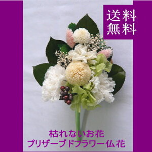 vU[uht[@/ԁE/||eyzy䋟zyvU[uhEt[zy̓ɂ߂łz