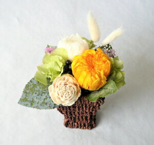 vU[uht[/ԁ@ԁ@aAW@F yIzvU@yΉ