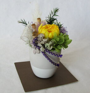 vU[uht[@/ԁE/֋eAWP[Xtyzy䋟zyvU[uhEt[zyhV̓z