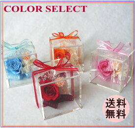 プリザーブドフラワー　キューブBOXミニ　　カラーセレクト　 プレゼント ギフト 花 【父の日にもおすすめ！】　誕生日祝い お礼 退職祝い など