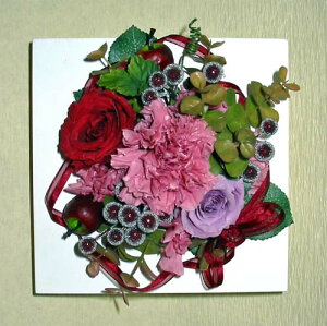 vU[uht[/XNGA[EH[RyyMt_zyyMt_̂zyyMt_̂zyyMt_bZzyyMt_bŹz