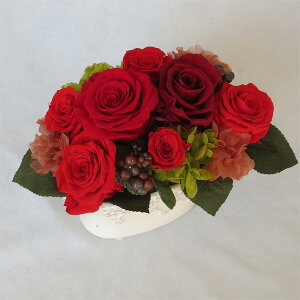 vU[uht[/bh[Y@AWgyazyLỎԁzyҗjzy̌jz