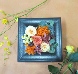 プリザーブドフラワー/フレーム　アプリコットオレンジ/ケース付き【プリザーブドフラワーギフト】