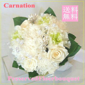 yvU[uht[ ԑz/J[l[V zCgԑ@yvU[uhEt[zy̓z