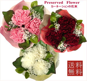 yvU[uht[ ԑzJ[l[VԑiJ[l[V3{̉ԑłyvU[uhEt[zy̓z