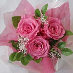 yvU[uht[ ԑzsNԑio3{̉ԑłwĂ܂ExƂӖ܂jMtg@̌j@v|[Ỷԁ@a@LOȂǂɁyvw