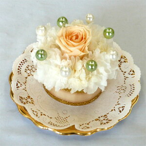 vU[uht[/t[P[L/v`P[LEV[xbgIW@yj ԁzya ԁz