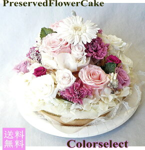 2ivU[uht[P[L@FIׂ邨CP[Lyj ԁzyLO ԁz