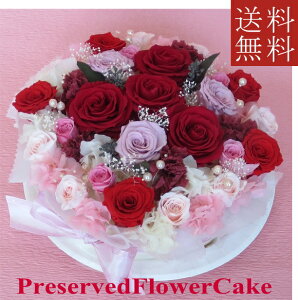 vU[uht[/؂ȂԂ̃t[P[L@sNbh@a@@LO@jȂ